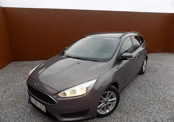 Ford Focus cena 29900 przebieg: 168000, rok produkcji 2016 z Ryki małe 379